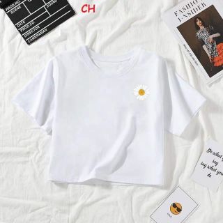 Áo crop top hoa cúc in tim _CH