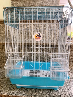 Lồng nuôi chim vẹt nhỏ