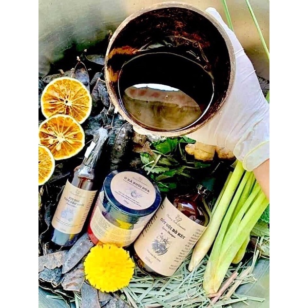 COMBO DẦU GỘI CỐT BỒ KẾT  PHƯƠNG ANH COSMETIC