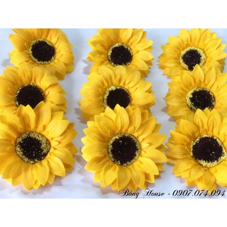 Com bo 5 ống Hướng Dương + 1 xấp giấy xi măng