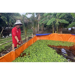 Giá tốt [ BỂ BẠT 2 DA] BỂ BẠT NUÔI ỐC, BỂ BẠT NUÔI ẾCH. BỂ BẠT CHO BÉ TẮM.