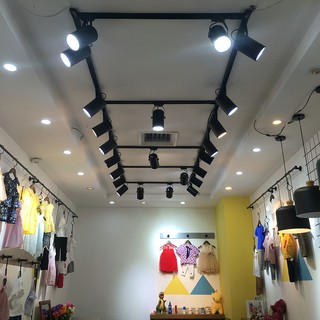 Đèn Rọi, Đèn Rọi Ray Mắt Ếch 12W MC