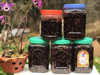 BA KÍCH TÍM QUẢNG NINH ( hộp 1kg ngâm rượu)