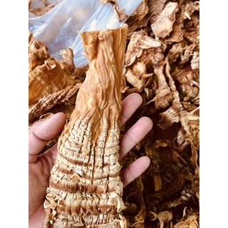 Măng Khô rừng Tây Bắc