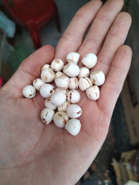 100g Hạt sen Huế khô loại ngon