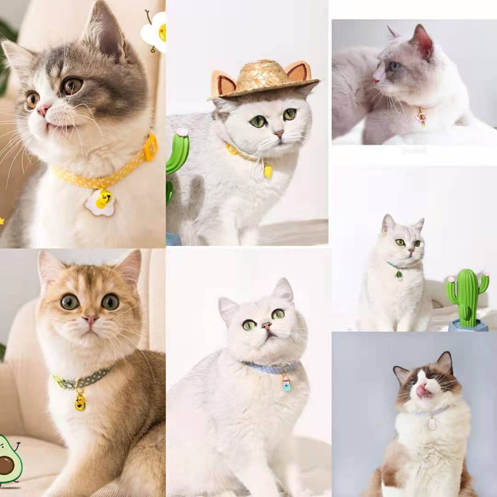 Vòng cổ mặt họa tiết dễ thương gắn chuông dành cho thú cưng