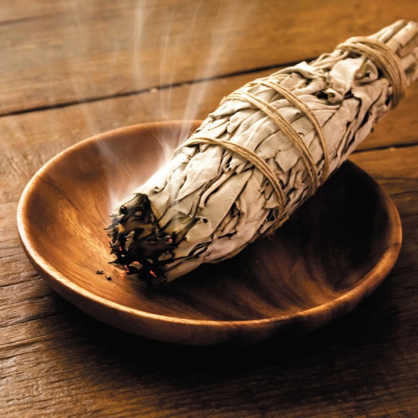 Xô Thơm Trắng - White Sage (Bó 10-12 cm) (Mystic House Tarot Shop) - Sản Phẩm Authentic Chính Hãng 100%
