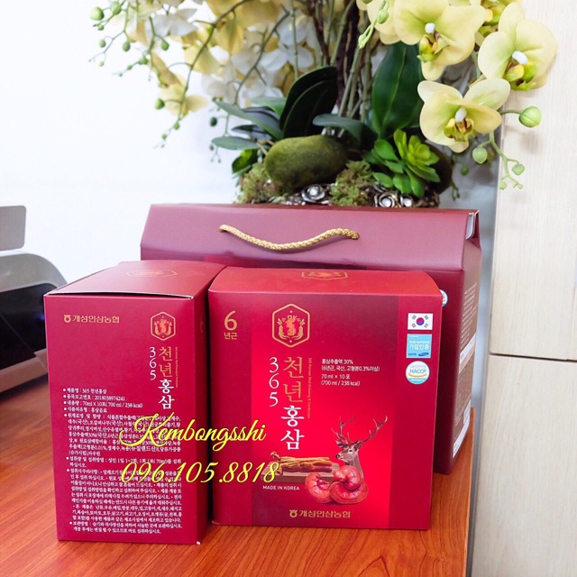 [HÀNG MỚI VỀ] Nước Hồng Sâm Nhung Hươu Hàn Quốc [MẪU MỚI NHẤT] | BigBuy360 - bigbuy360.vn