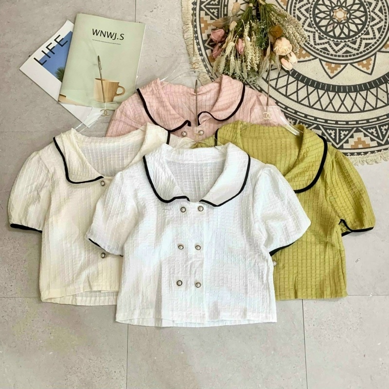 Áo kiểu voan cổ sen phối viền