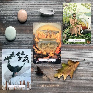 Bài Witches Wisdom Tarot