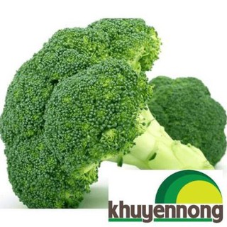 Hạt giống sup lơ xanh