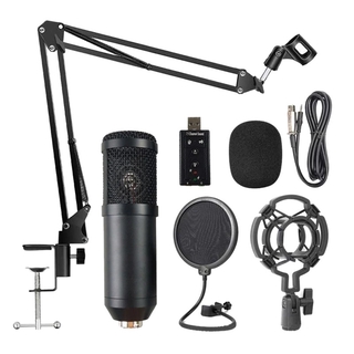 Bộ Micro Thu Âm Chuyên Nghiệp Bm800