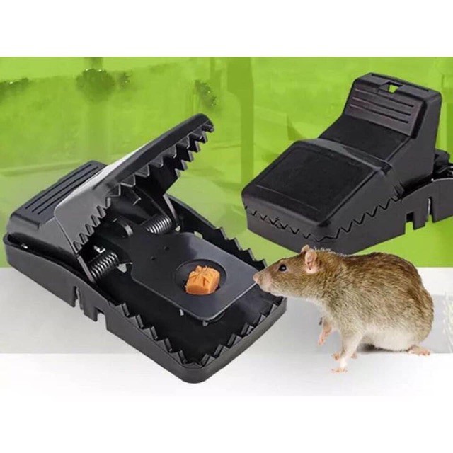 Bẫy chuột thông minh [ Siêu rẻ]