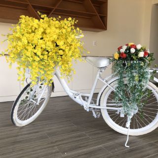 Vũ nữ vải 1 bó 10 cành