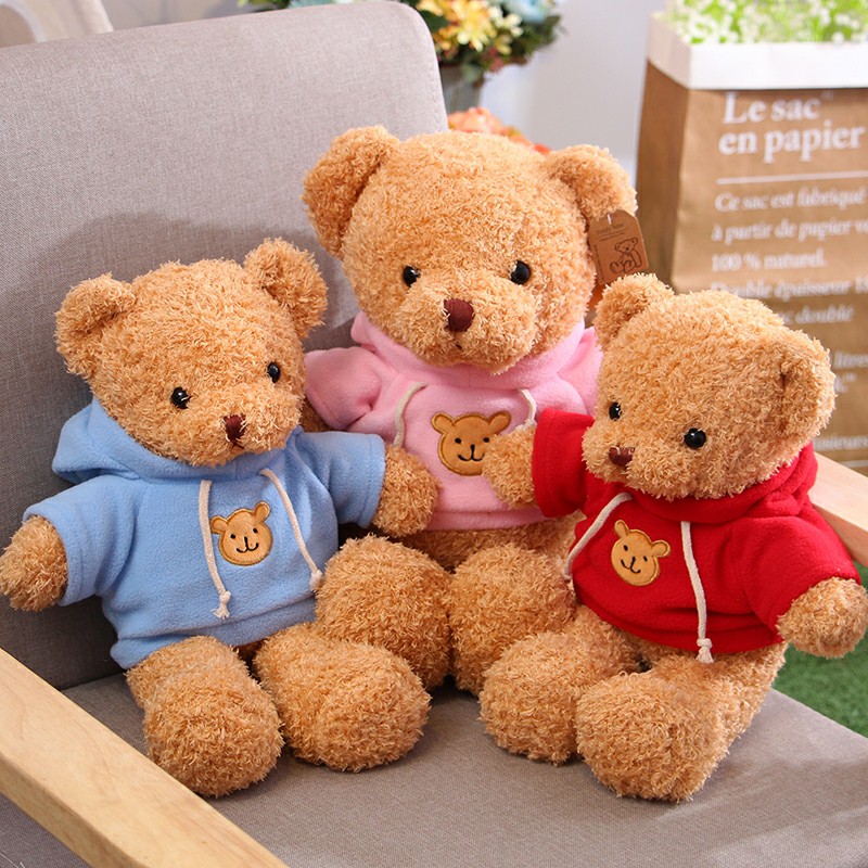 Gấu Teddy Mặc Áo Hoodie Dễ Thương Cao Cấp Gấu Bông City