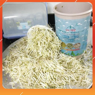 Máy làm giá đỗ sạch tự động phiên bản tròn (tặng túi hạt đỗ)