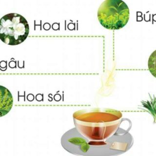 TRÀ SÂM DỨA NGỌC QUANG