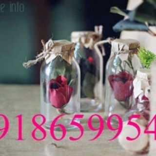 Lọ Thủy Tinh 50ml và 100ml Nút Bần Siêu Xinh Có Thể Thay Nút Nhựa