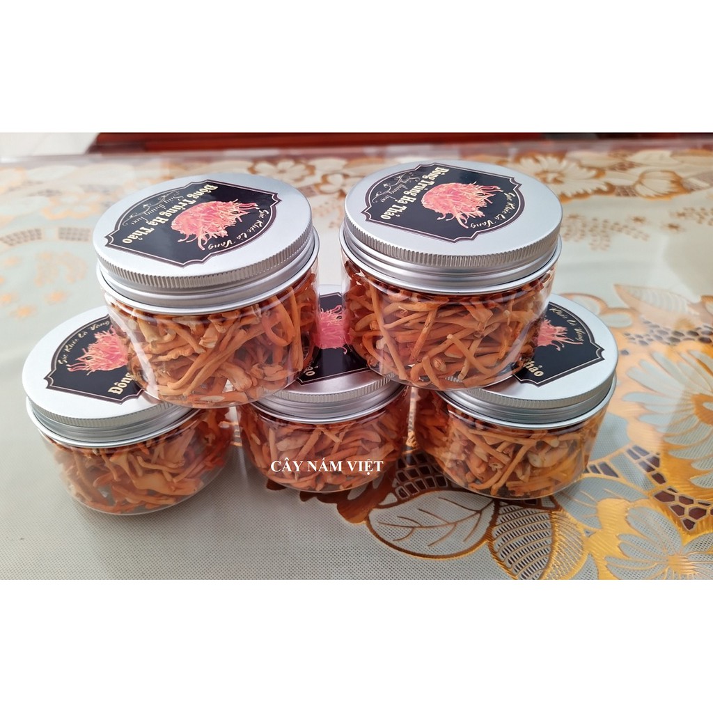 10g Đông Trùng Hạ Thảo khô sấy thăng hoa - Cây Nấm Việt | BigBuy360 - bigbuy360.vn
