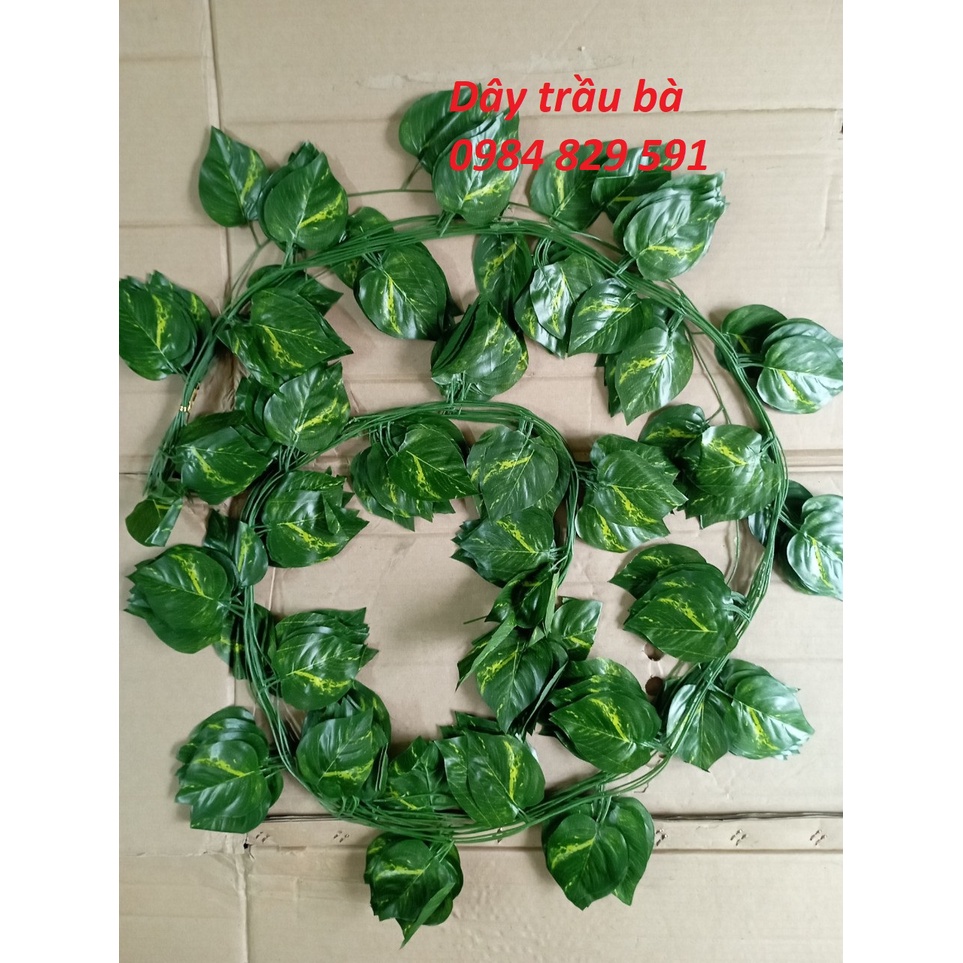 Dây leo giả: lá nho, trầu bà, thường xuân, rau má, dưa hấu, dài 2.4M