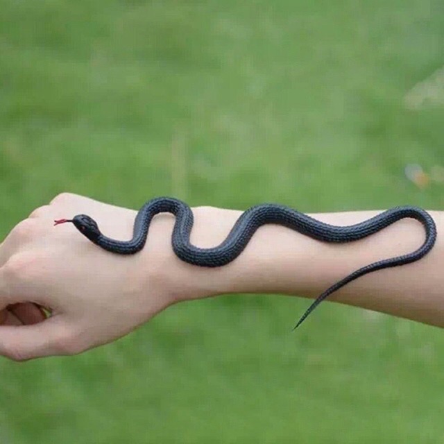 Rắn cao su,rắn đò chơi cao su cỡ nhỏ(35cm)