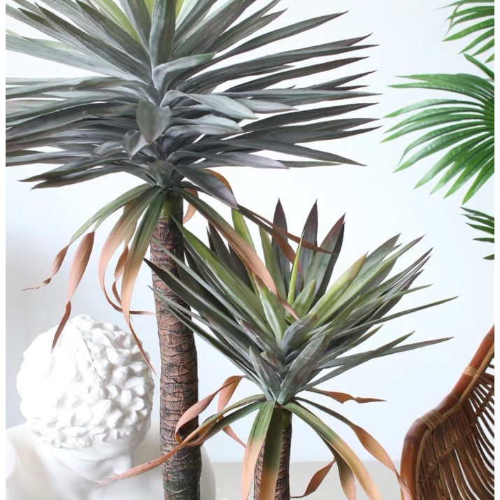 Cây phát tài núi decor 1m60 - cây dứa bạc thân 3 nhánh nghệ thuật