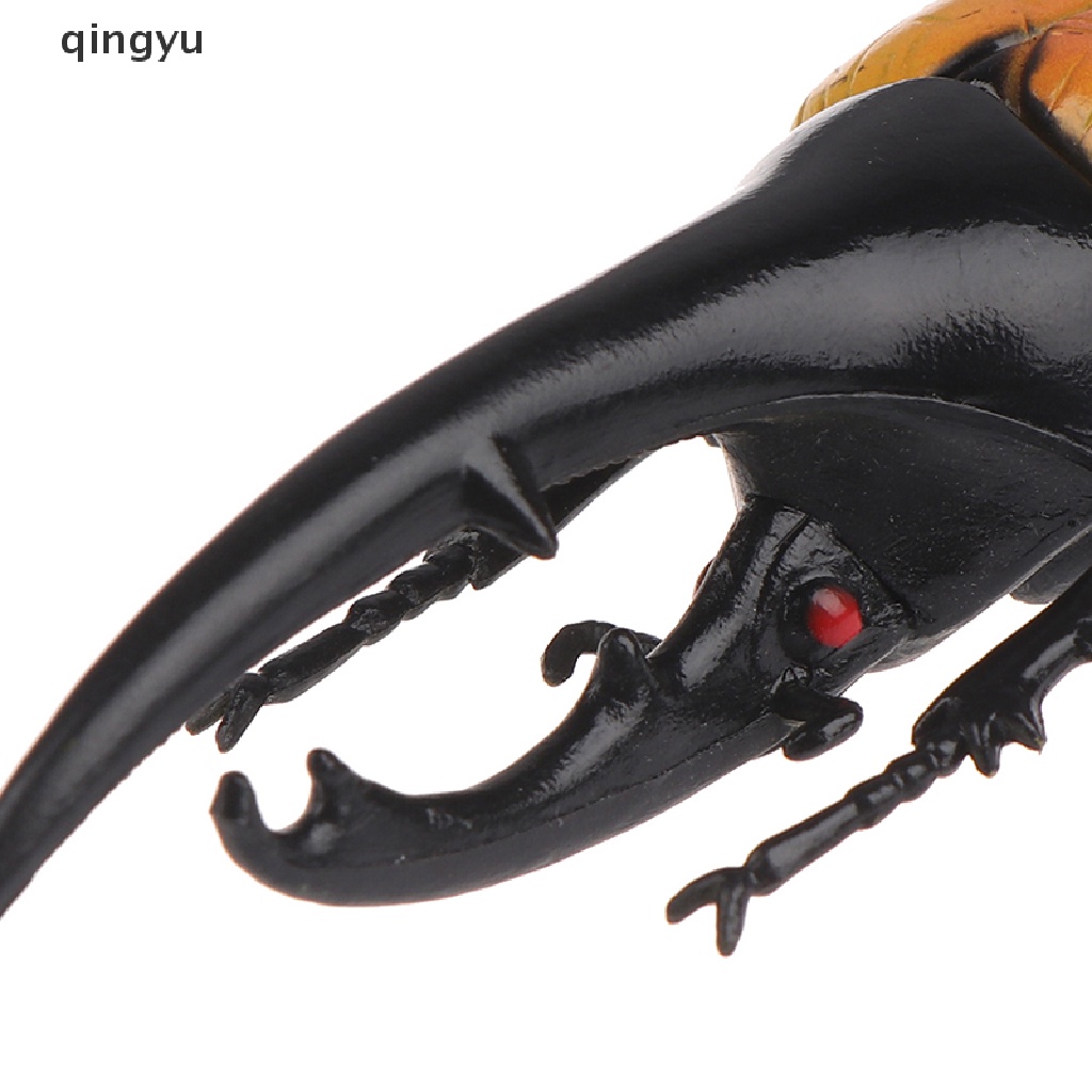 Mô Hình Côn Trùng Sống Động Như Thật Dùng Dạy Học