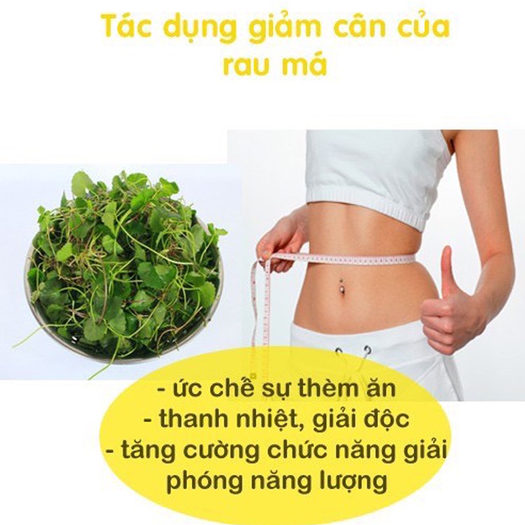 Bột rau má nguyên chất sấy lạnh Tây Sơn Food thanh nhiệt giải làm đẹp da 100gr