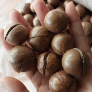 Combo c hạnh