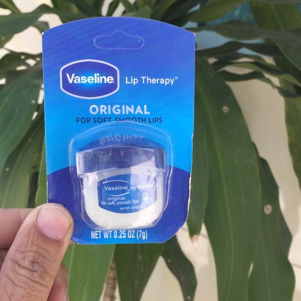 [Ảnh thật] Vaseline dưỡng môi