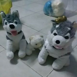 Gấu của nhi nhi