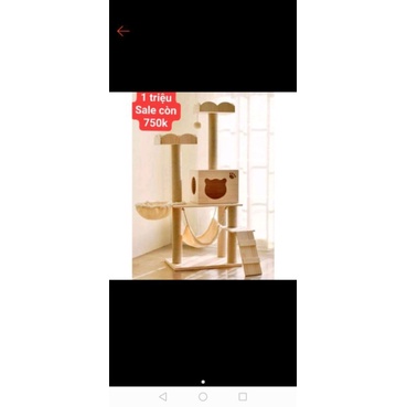 Bộ cattree 2 tầng sale nhanh