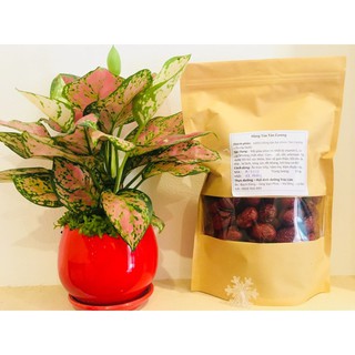 Hồng táo Tân Cương size to 500g