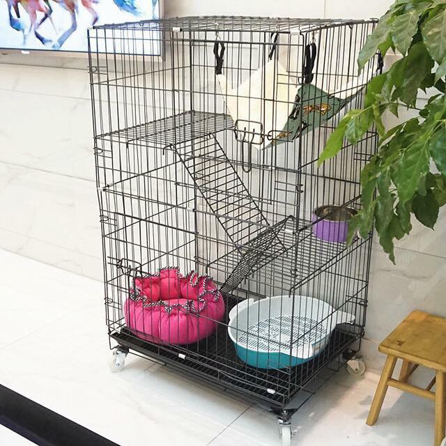 Lồng mèo hai tầng_chuồng mèo_phụ kiện chó mèo Petshop