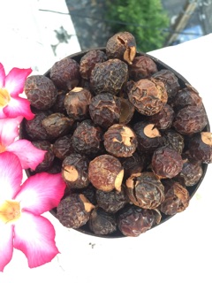 Bồ hòn tách hạt