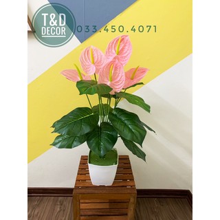 Cây giả- cây môn hồng 70cm
