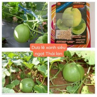 DƯA LÊ XANH SIÊU NGỌT THÁI LAN