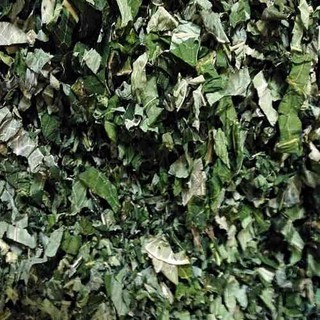 Lá đu đủ đực sấy khô 500g