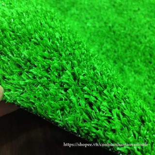 Tấm cỏ nhựa giả - thảm cỏ nhân tạo giá rẻ KT : 100cm x 100cm