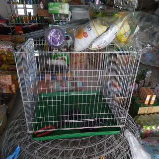 Lồng chim bồ câu,gà con,thỏ vv hàng bình dân
