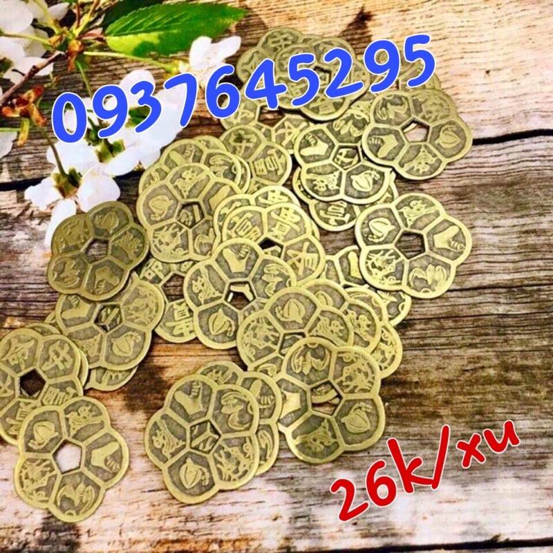 Đồng tiền hoa mai bằng đồng | BigBuy360 - bigbuy360.vn