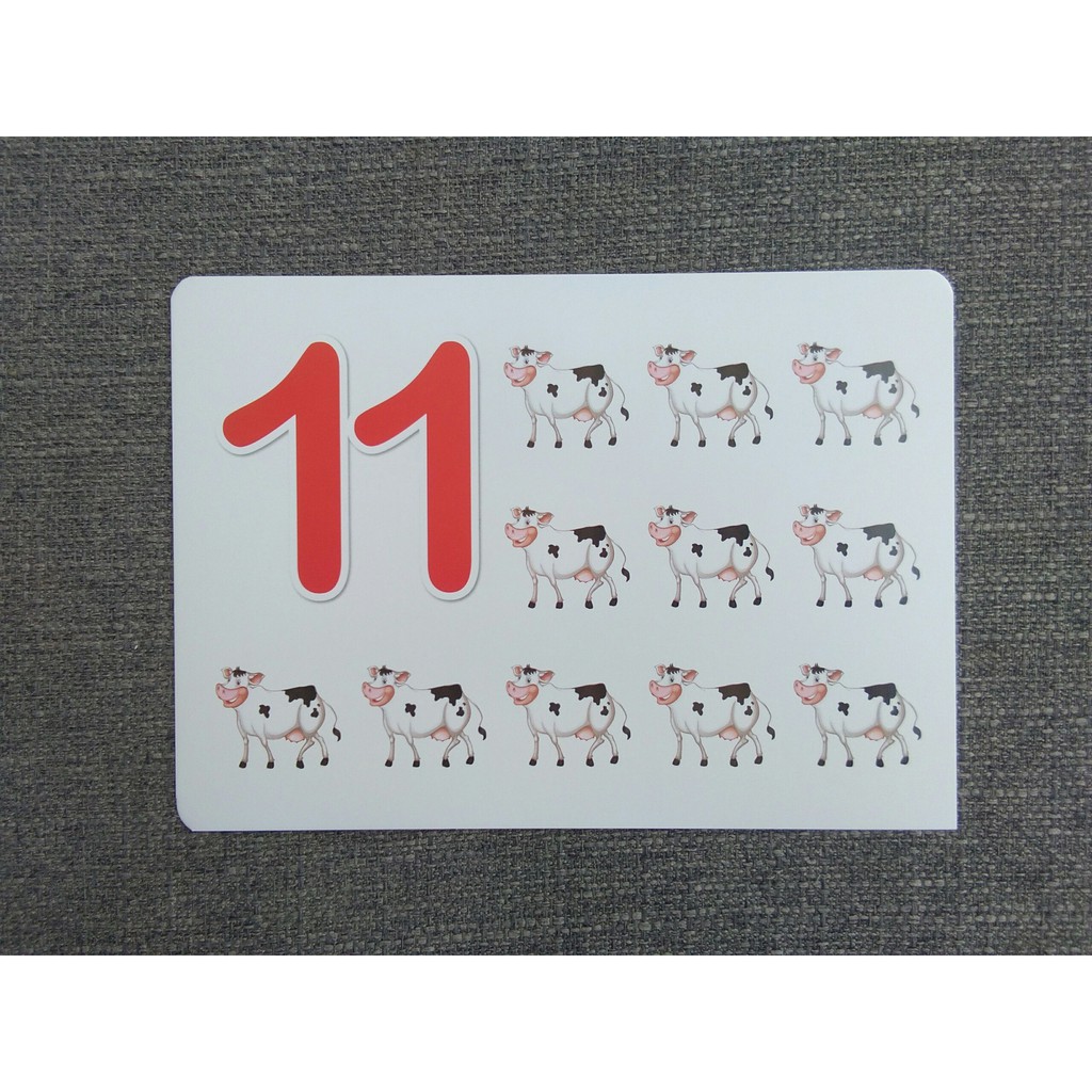 Flashcard Dạy Trẻ Theo Phương Pháp Glenn Doman - Số Đếm