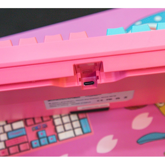 Bàn phím cơ Akko 3108 One Piece V2 – Chopper