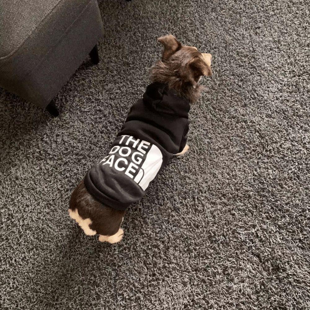 Áo Khoác Hóa Trang Kiểu Pháp Dễ Thương Cho Thú Cưng