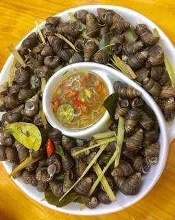 Đĩa xoắn ốc ( hoa hồng) loại 1