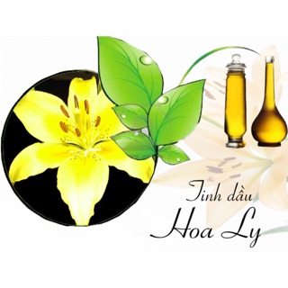 Tinh dầu hữu cơ nguyên chất #Hoa ly siêu thơm, k hắc