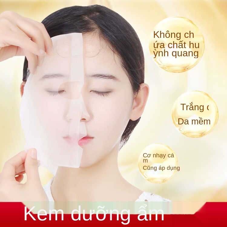 (5 miếng hỗn hợp) Mặt Nạ Rong Biển Dưỡng Ẩm Kiểm Soát Dầu Và Se Khít Lỗ Chân Lông Bioaqua