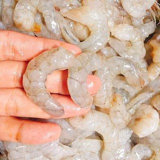 [500g] Lạp Xưởng TÔM TƯƠI Cai Lậy 🦐🦐