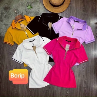 [ CHẤT ĐẸP ] Áo thun cổ bẻ, cổ trụ 💥HÌNH THẬT 💥