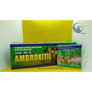 Úm Gà Con AMBROXITIL